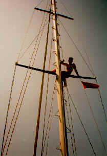 Charley am Mast