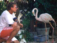 Zwiegespräch in Flamingo Bay